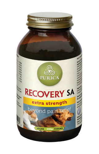 Purica Recovery