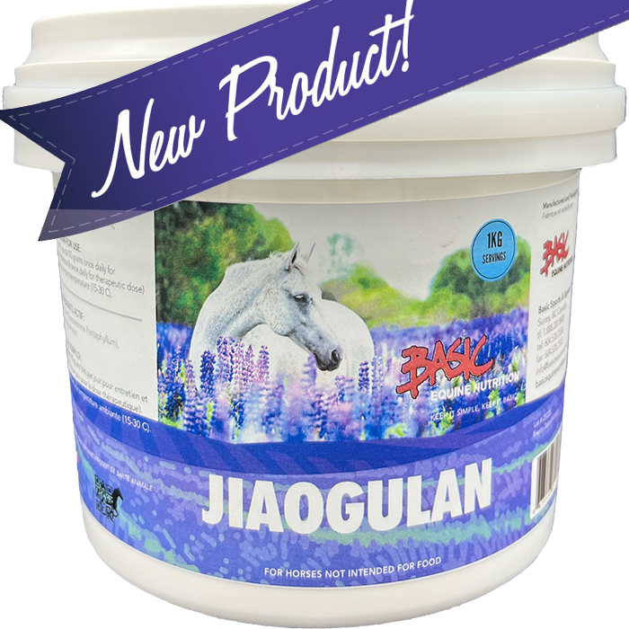 a tub of jiaogulan ointment